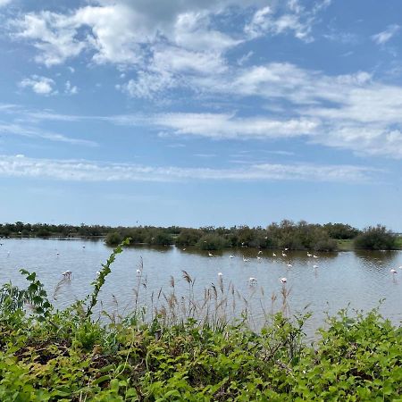 New Jungle Lake - Clim - Wifi - Draps & Serviettes - Bbq - 10' Des Plages Lattes Bagian luar foto
