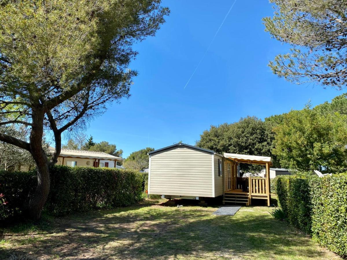 New Jungle Lake - Clim - Wifi - Draps & Serviettes - Bbq - 10' Des Plages Lattes Bagian luar foto