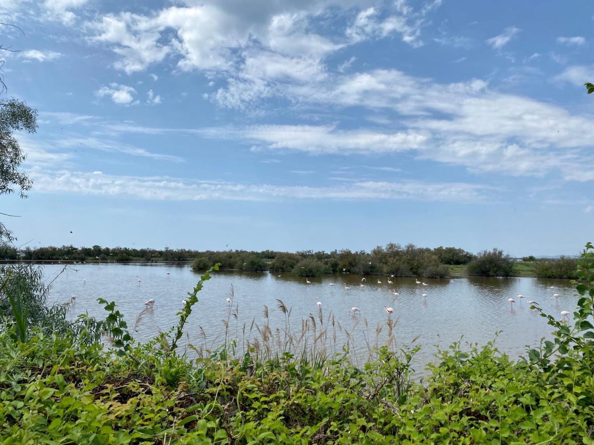 New Jungle Lake - Clim - Wifi - Draps & Serviettes - Bbq - 10' Des Plages Lattes Bagian luar foto